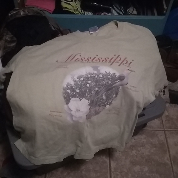 Mississippi T-shirt - Picture 1 of 1